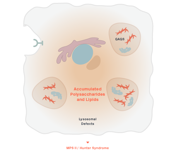 IDS Deficient Cell Image