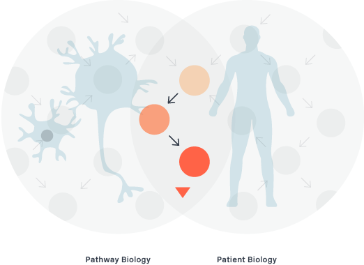 Target Engagement Biomarker