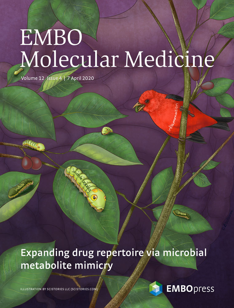 EMBO Molecular Medicine Publication