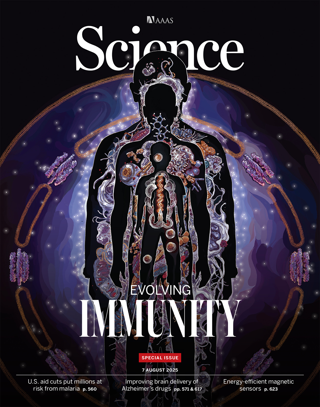 Transferrin receptor–targeted anti- amyloid antibody enhances brain delivery and mitigates ARIA 